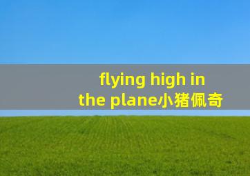 flying high in the plane小猪佩奇